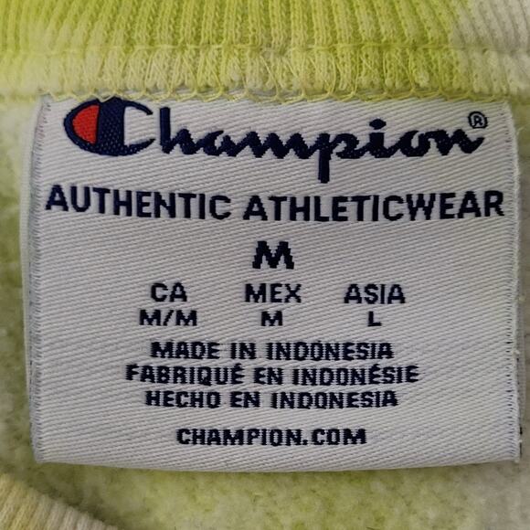 Champion Sweatshirt Medium 22x25 Green White Baggy - Picture 9 of 16